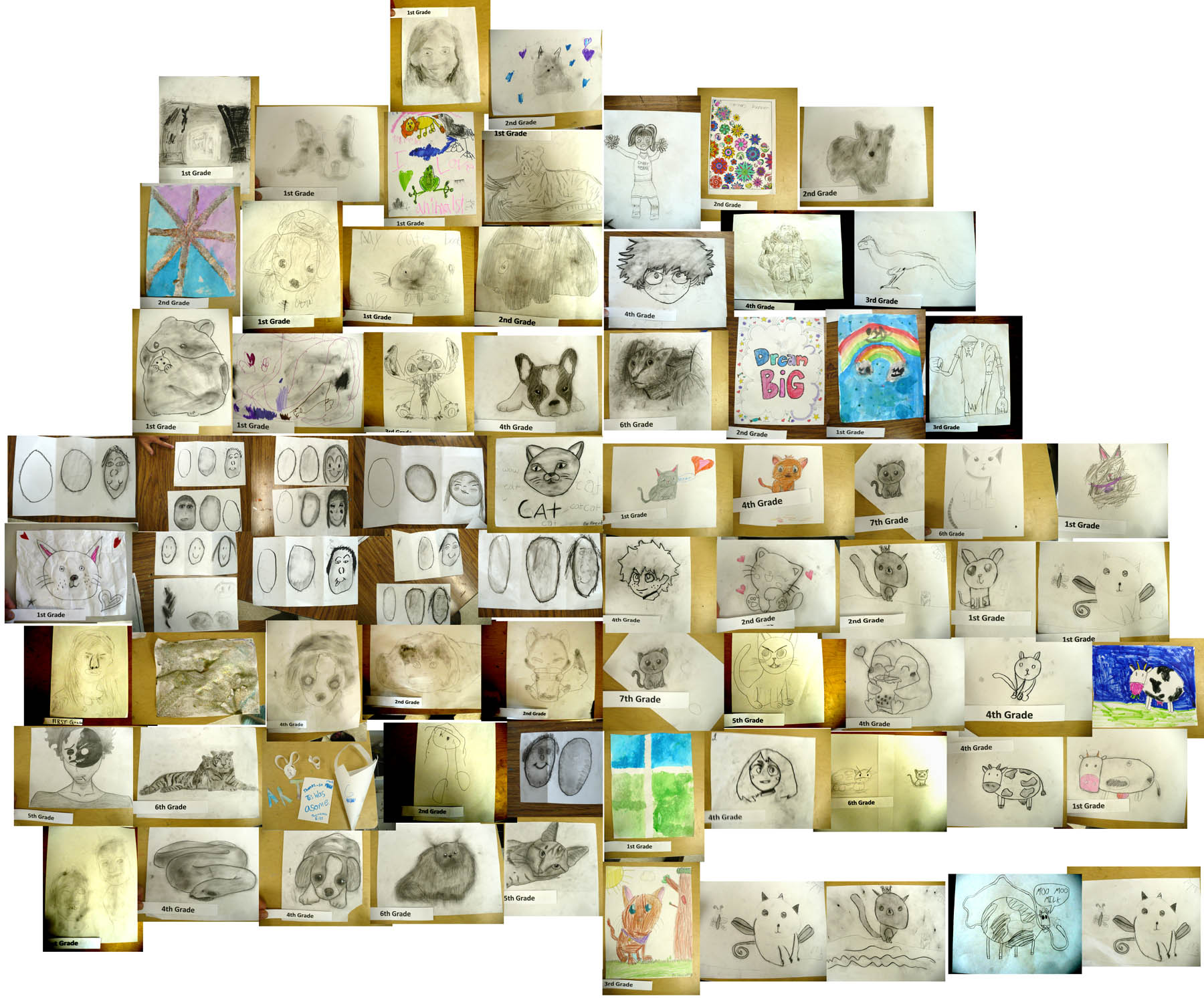 103-all pics